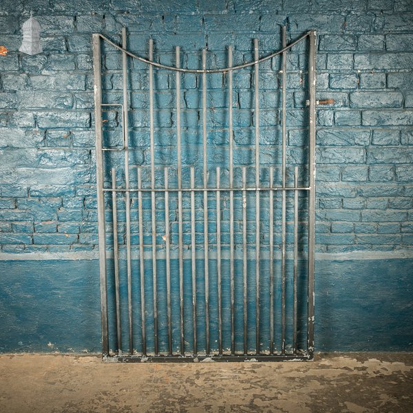 Side Gate with Swept Top Rail & Dog Bars