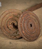 IMG_8507.jpg
