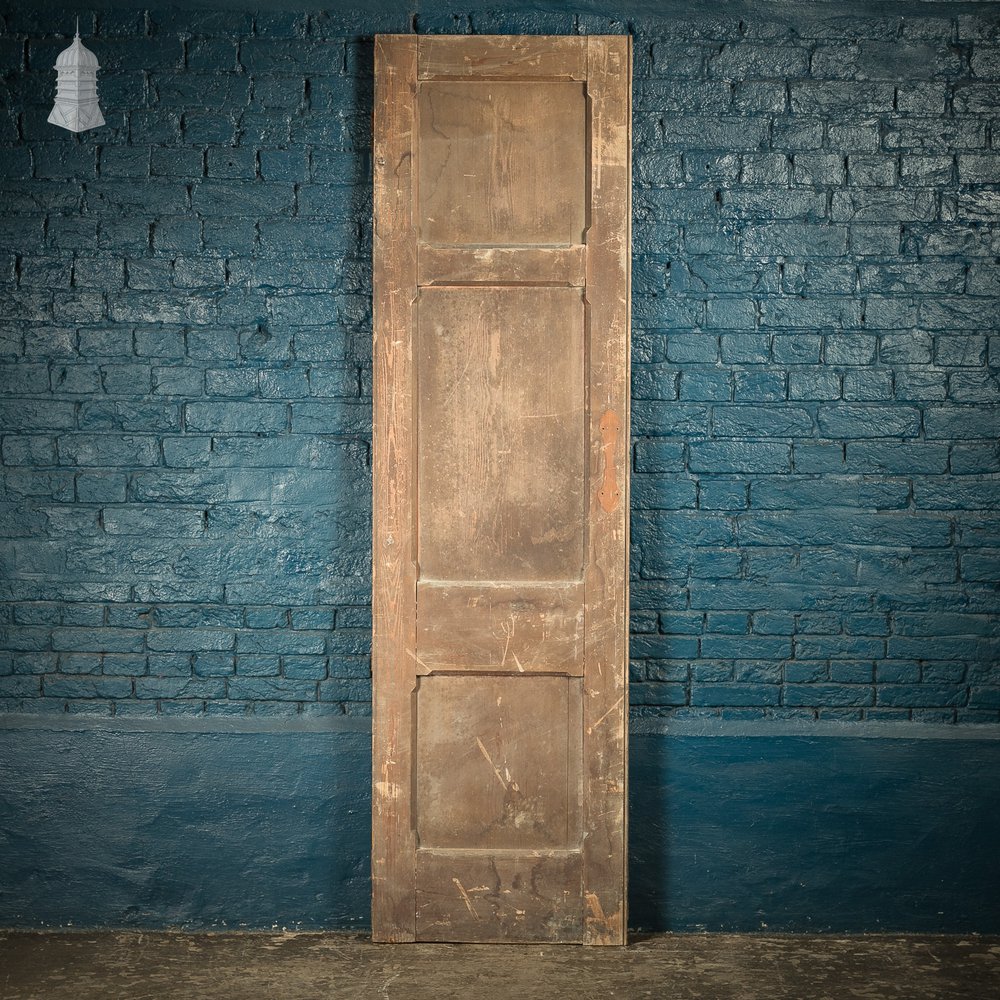 Narrow Paneled Door, 19th C Pine with Stop Chamfer Detail