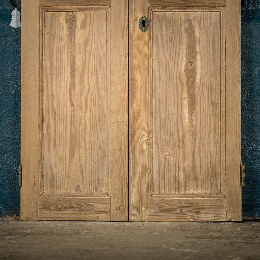 Pine Cupboard Door Pair, Bullseye Rosette Design
