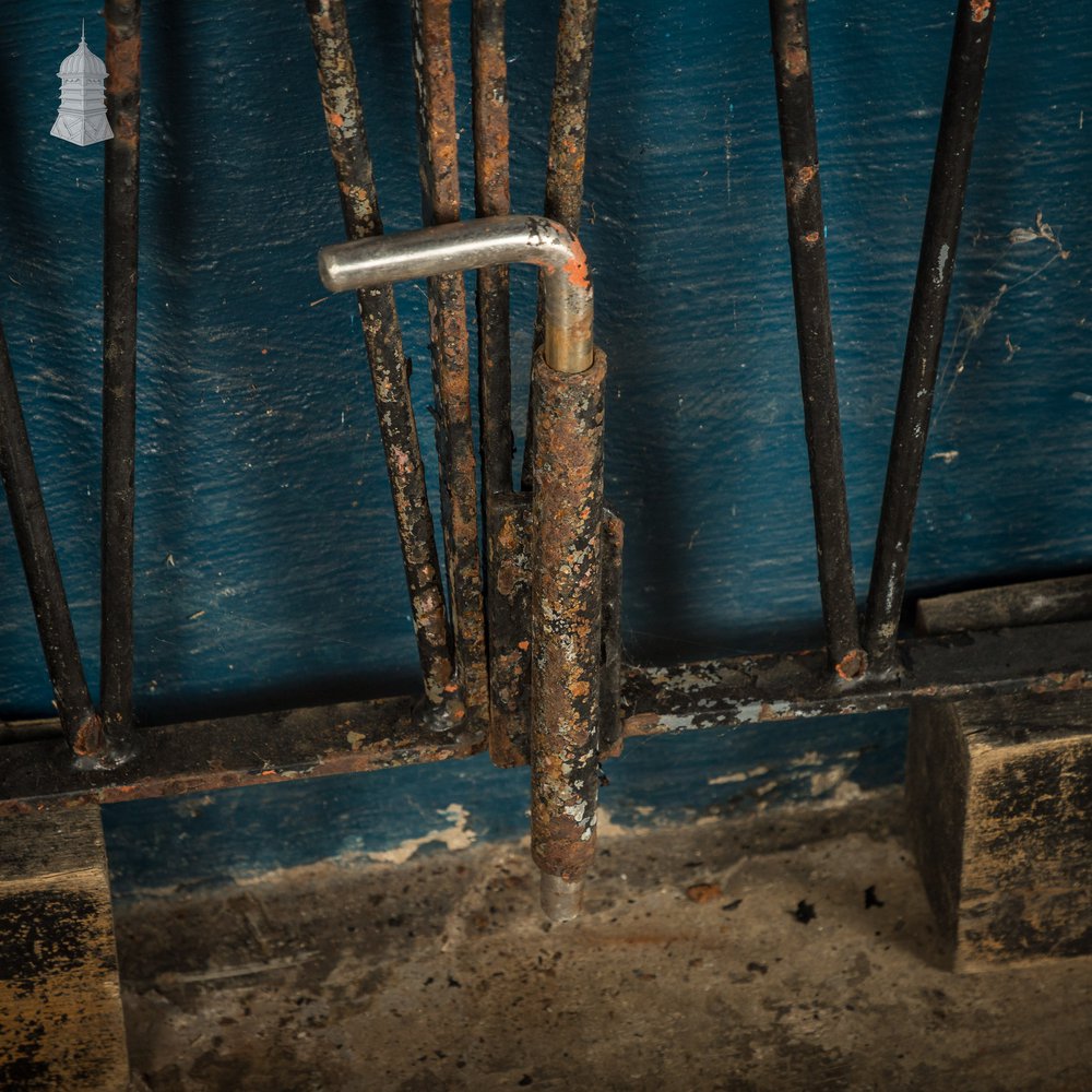 Pedestrian Gates, Pair