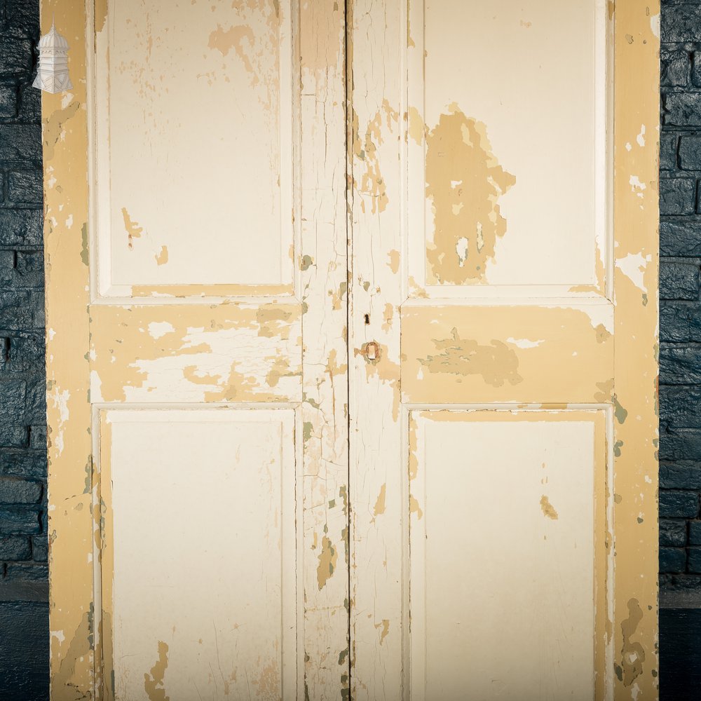 Pair of 3 Panel Doors