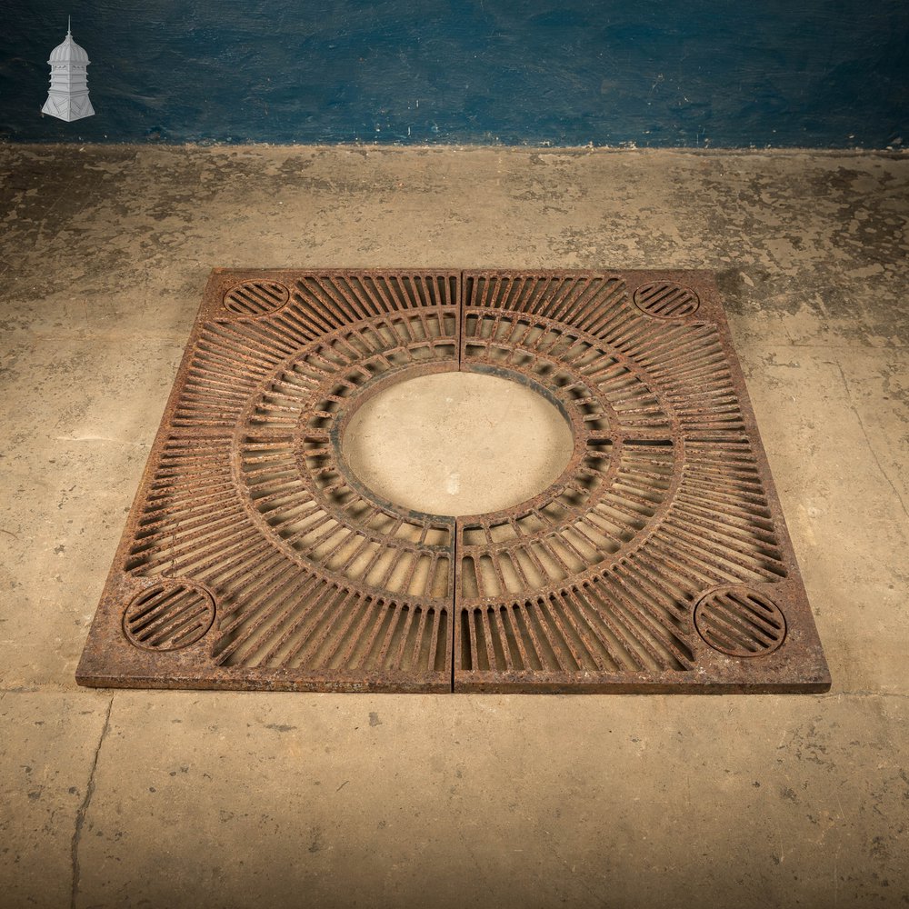 Pavement Root Guard for Trees, Cast Iron