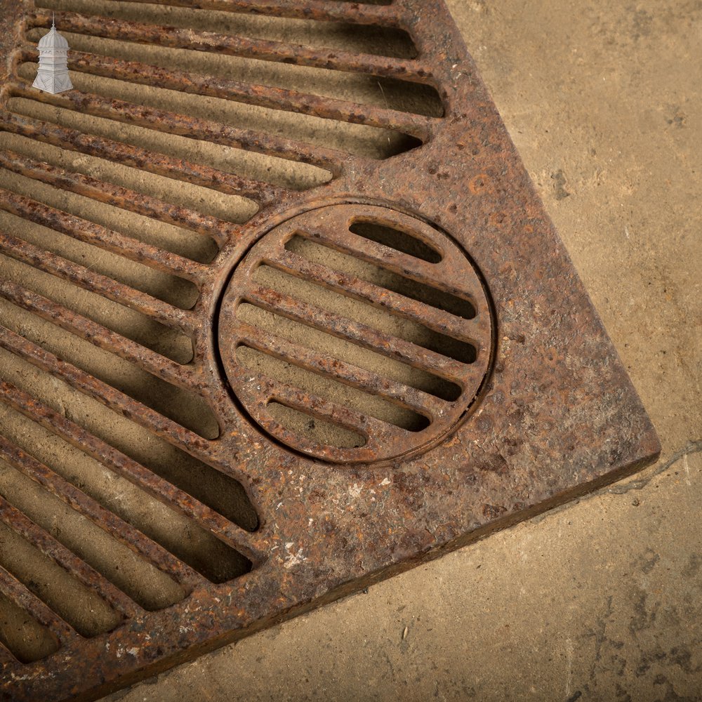 Pavement Root Guard for Trees, Cast Iron