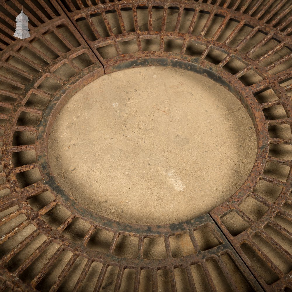 Pavement Root Guard for Trees, Cast Iron