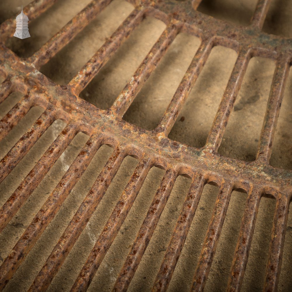 Pavement Root Guard for Trees, Cast Iron