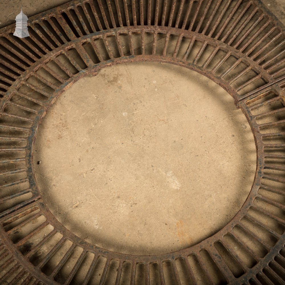 Pavement Root Guard for Trees, Cast Iron