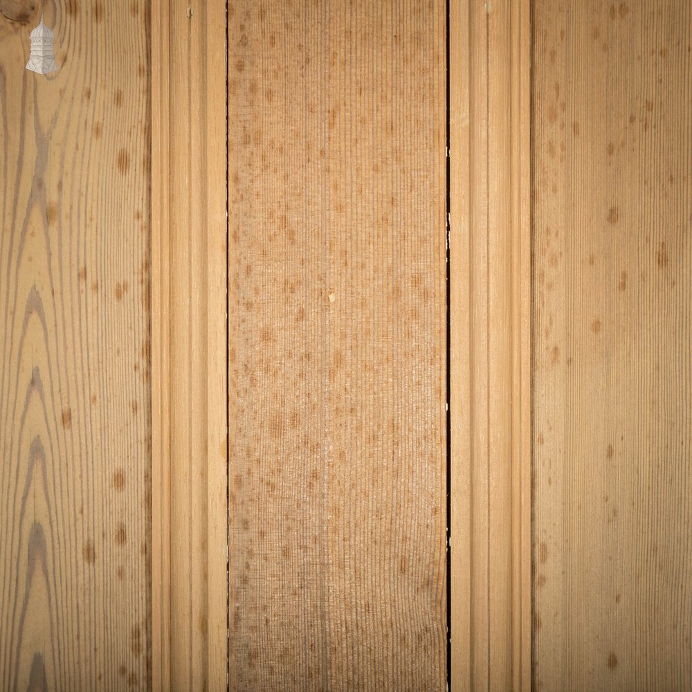 Pine Panelled Door, Moulded 6 Panel with Double Pivot Hinges