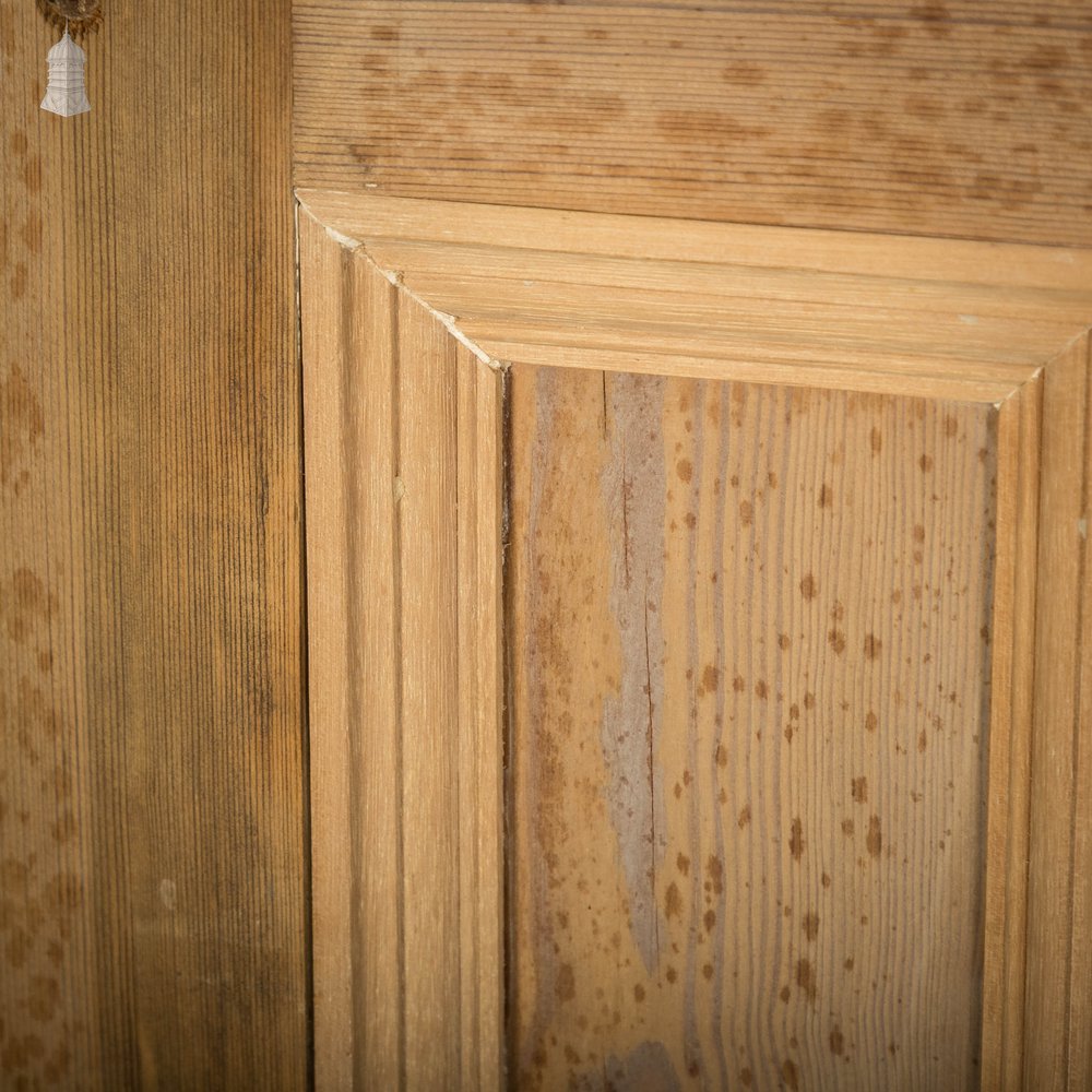 Pine Panelled Door, Moulded 6 Panel with Double Pivot Hinges