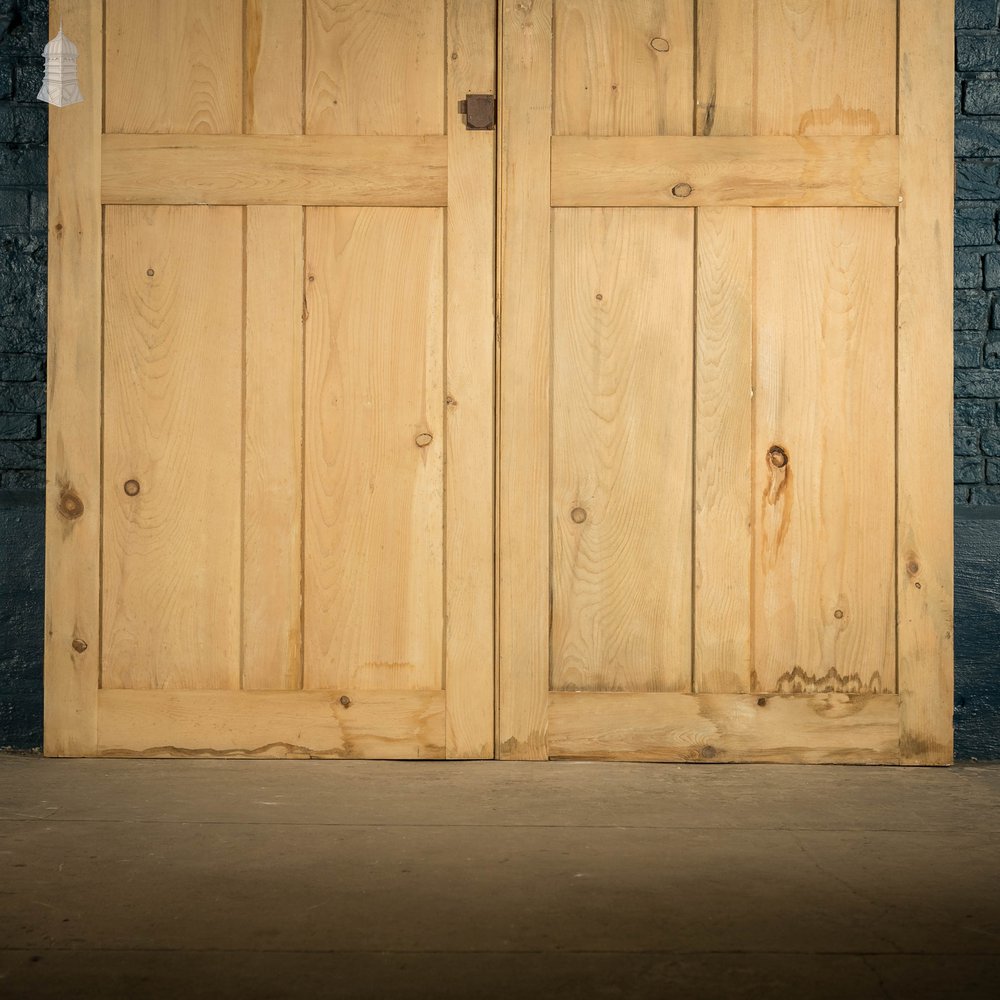 Pine Cupboard Doors, Pair of Panelled Cupboard Doors