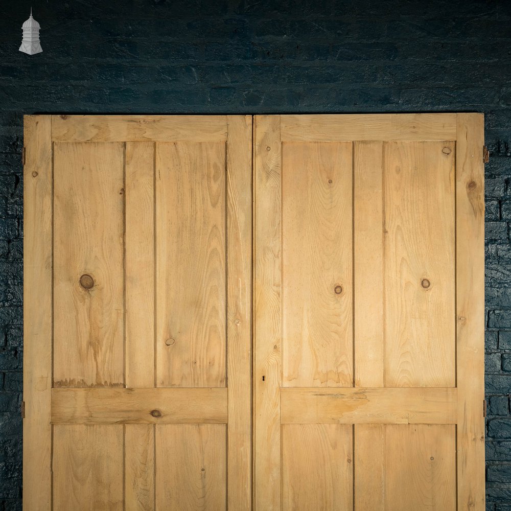 Pine Cupboard Doors, Pair of Panelled Cupboard Doors