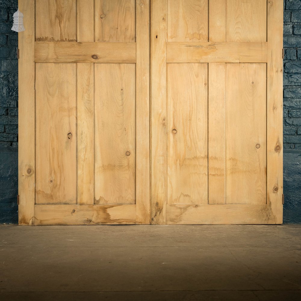 Pine Cupboard Doors, Pair of Panelled Cupboard Doors