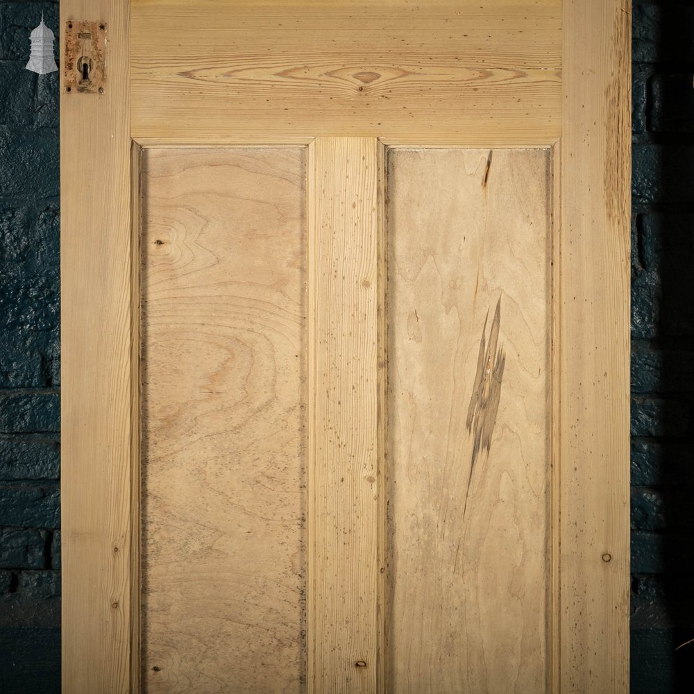 Pine Panelled Doors, Set of 2