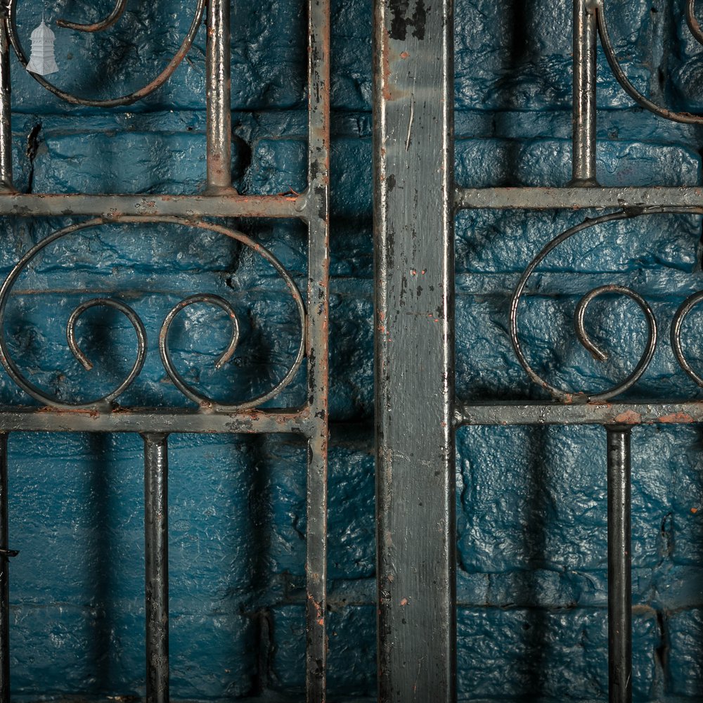 Pedestrian Gate and Panel, 20th C Wrought Iron Gate and Railing